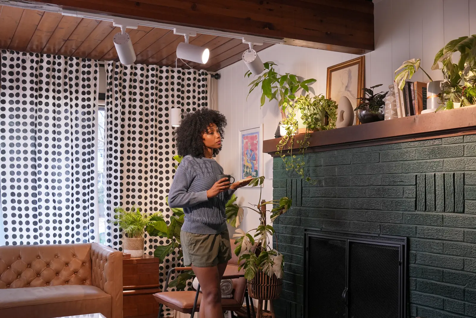 Bring Your Indoor Jungle To Life